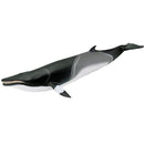 Safari Ltd. Minke Whale