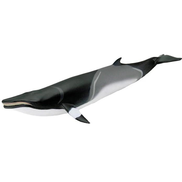 Safari Ltd. Minke Whale