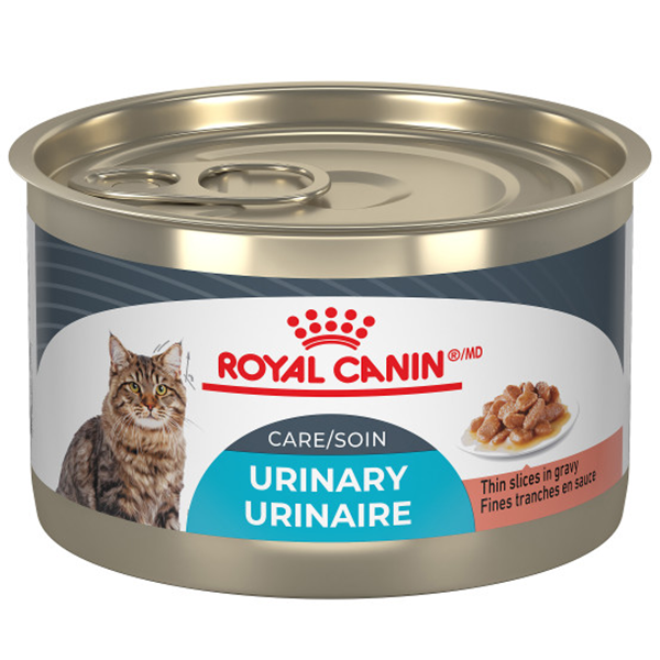 Royal Canin Cat FCN Urinary Care Thin Slices in Gravy 145g