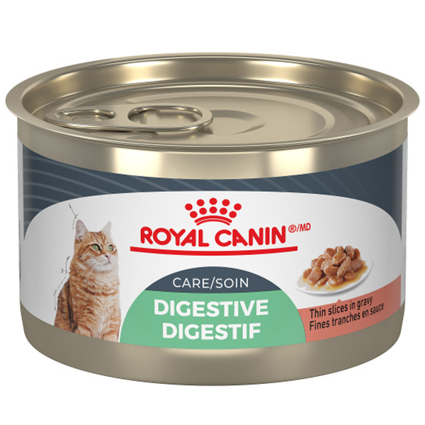 Royal Canin Cat FCN Digestive Care Thin Slices in Gravy 145g