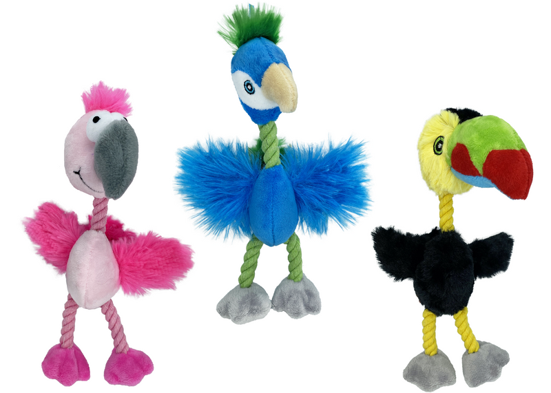 Pet Envy Plush Bird Brain Assorted 8in