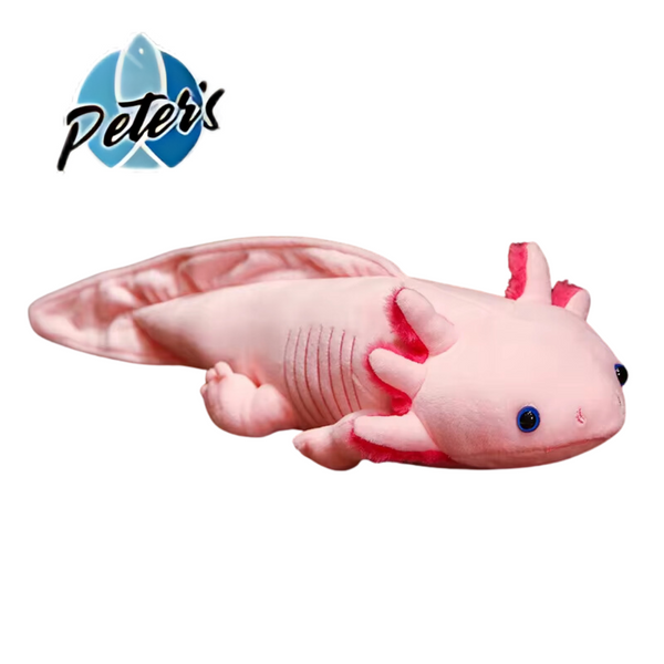 Peter's Plush Kid's Toy Axolotl Small