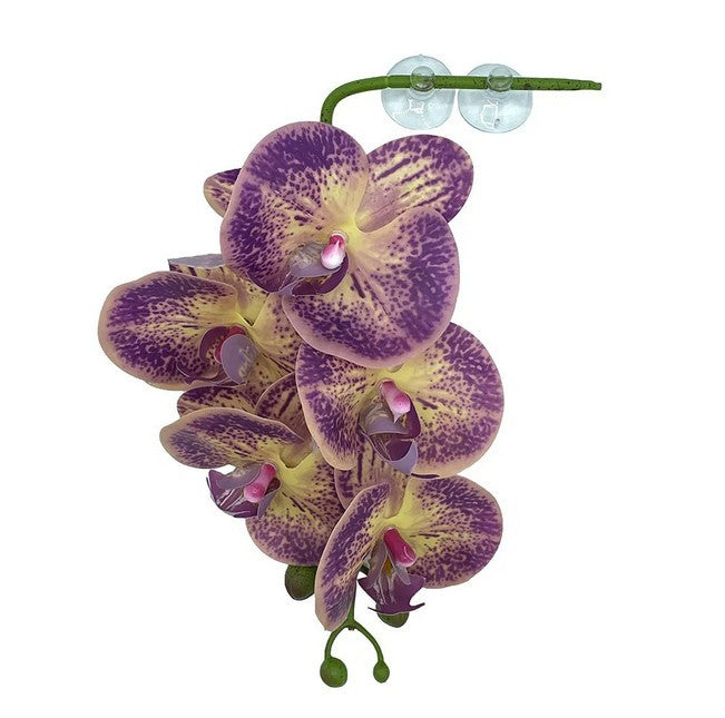 Pangea Hanging Orchid - Purple/Yellow