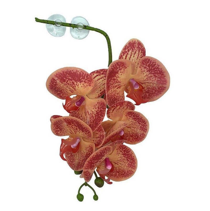 Pangea Hanging Orchid - Orange/Yellow