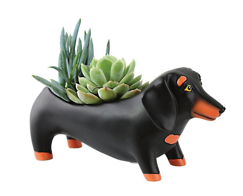 Baby Otis Dachshund Planter