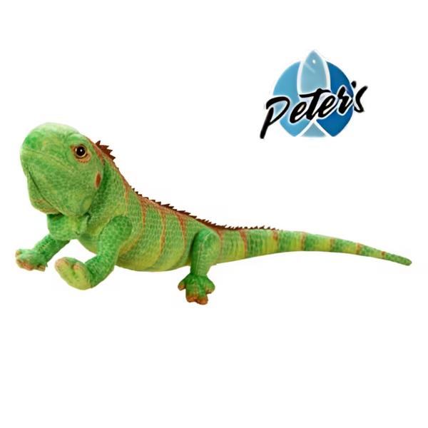 Peter's Plush Kid's Toy Iguana