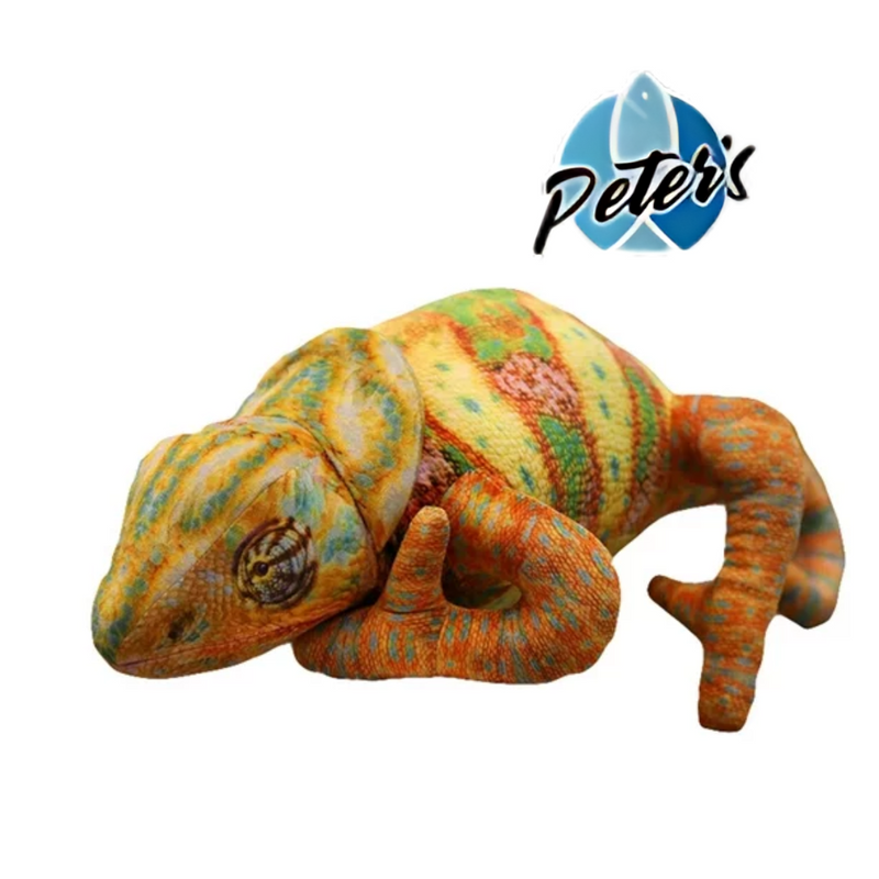 Peter's Plush Kid's Toy Chameleon