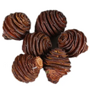 Peter's Botanicals Honey Pot Cone