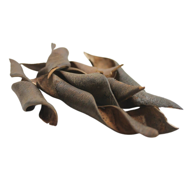 Peter's Botanicals Kachna Tree Pod