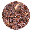 Pink Springtail Culture