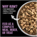 Nutrience SubZero Freeze-Dried Raw Pork & Apple Dog Food