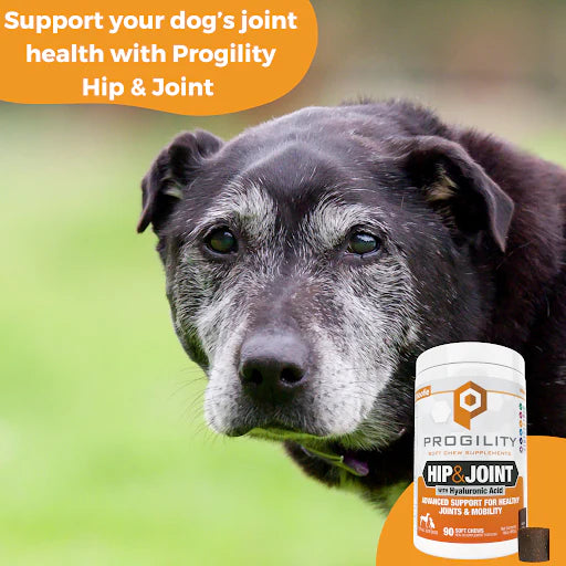 Nootie Progility Hip & Joint Soft Chew Supplements for Dogs 450g