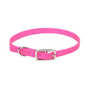 Coastal Single-Ply Dog Collar - Pisces Pet Emporium
