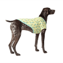 Canada Pooch Follow Me Tee - Pisces Pet Emporium