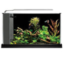 Fluval Spec Aquarium Kit - Black - Pisces Pet Emporium