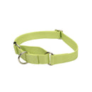 Coastal No! Slip Martingale Adjustable Collar - Pisces Pet Emporium