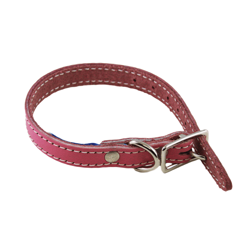 Lacet's Arizona Leather Single Collar - Pisces Pet Emporium