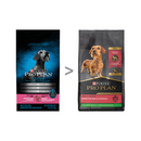 Purina Pro Sensitive Skin Stomach Small Dog | Pisces