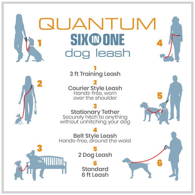 Kurgo 6-in-1 Quantum Dog Leash - Hands-Free | Pisces