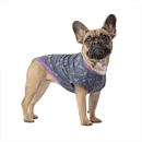 Canada Pooch Follow Me Tee - Pisces Pet Emporium