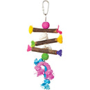 Prevue Pet Tropical Teasers Bird Toy Small Med | Pisces