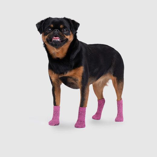 Canada pooch outlet socks