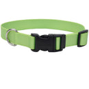 Coastal Adjustable Dog Collar - Pisces Pet Emporium