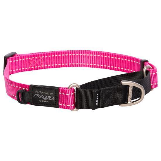 Rogz Control Collar Web XL - Available in Five Colours - Pisces Pet Emporium