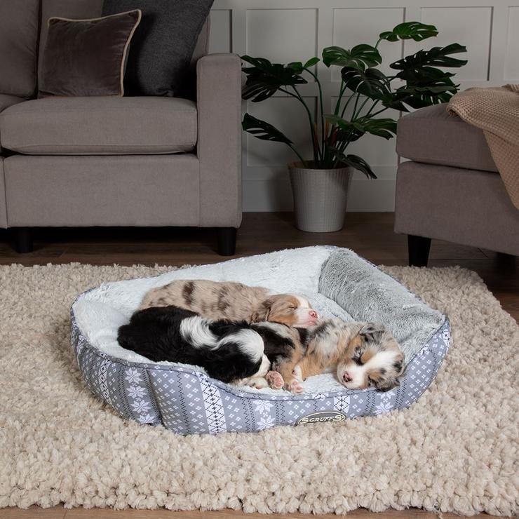 Scruffs Santa Paws Box Bed - Pisces Pet Emporium