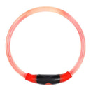 NiteIze NiteHowl LED Safety Necklace - Pisces Pet Emporium