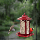 Perky Pet Gazebo Bird Feeder - Red - Pisces Pet Emporium