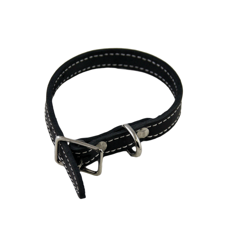 Lacet's Arizona Leather Single Collar - Pisces Pet Emporium