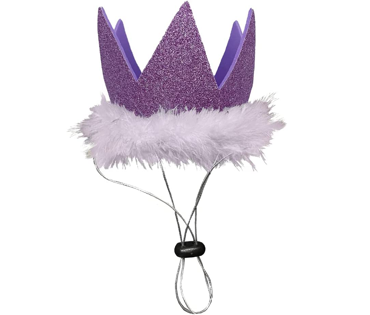 Lulubelles Party Crowns Birthday Hat Cat Dog | Pisces