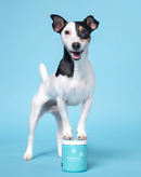 Open Farm Calming Supplement Chew Dog | Pisces