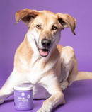 Open Farm Hip & Joint Supplement Chew Dog | Pisces