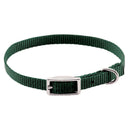 Coastal Single-Ply Dog Collar - Pisces Pet Emporium