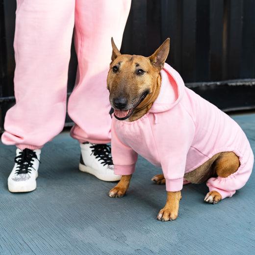Canada Pooch Soft Side Sweatsuit Dog Onesie | Pisces