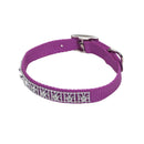 Coastal Jeweled Nylon Collar - Pisces Pet Emporium