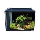 Fluval Spec Aquarium Kit - Black - Pisces Pet Emporium