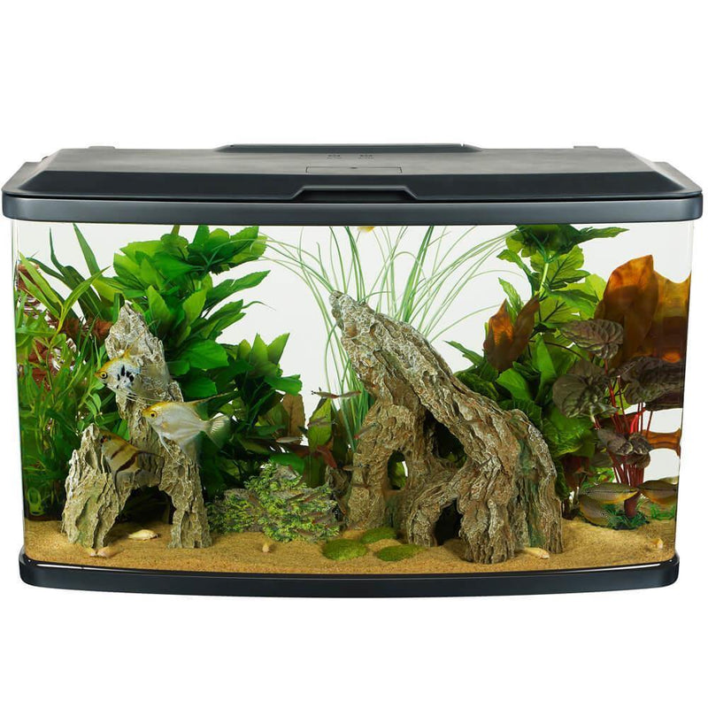Fluval Vista Aquarium Kit - Pisces Pet Emporium