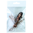 The Cat House - Kitty Bait - Pisces Pet Emporium