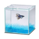 Aqueon Betta Beads 340g