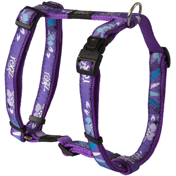 Rogz Beach Bum Large Fancy Dress H-Harness - Available in 10 Designs - Pisces Pet Emporium