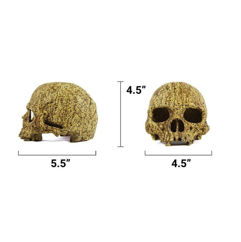 Pangea Human Skull Cave - Pisces Pet Emporium