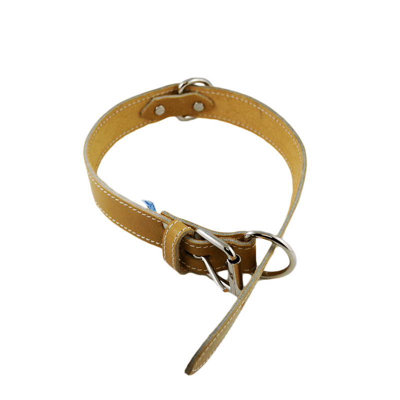 Lacet's Arizona Leather Single Collar - Pisces Pet Emporium