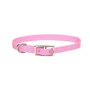 Coastal Single-Ply Dog Collar - Pisces Pet Emporium