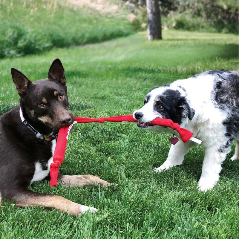 Kong Crunch Rope - Pisces Pet Emporium