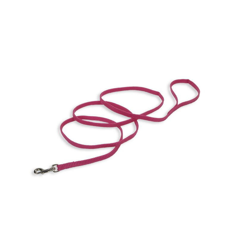 Coastal Sunburst Dog Leash - Pisces Pet Emporium