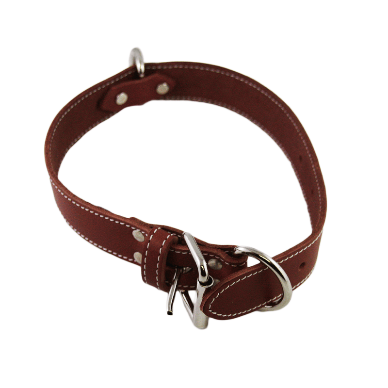 Lacet's Arizona Leather Single Collar - Pisces Pet Emporium