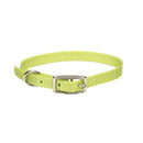 Coastal Single-Ply Dog Collar - Pisces Pet Emporium